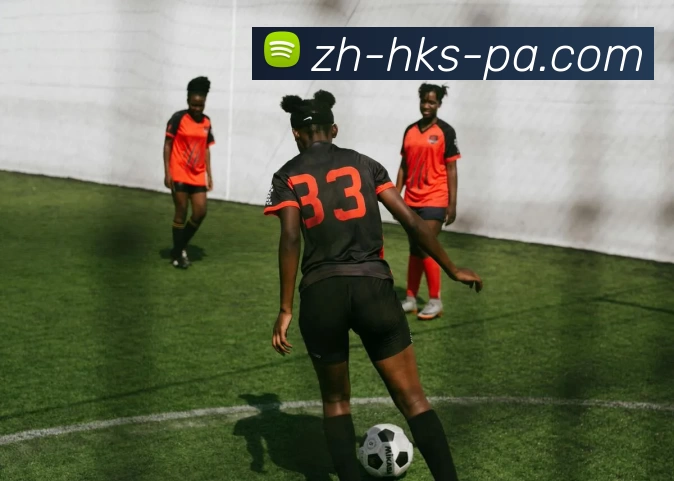 PA官网APP 封面图